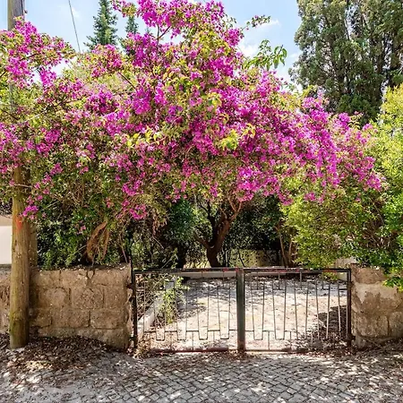 فيلة Beautiful View And Access - Casa Maloney Arrabida